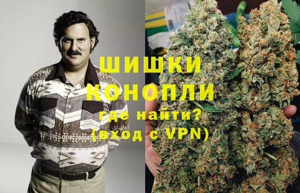 гидра Ряжск