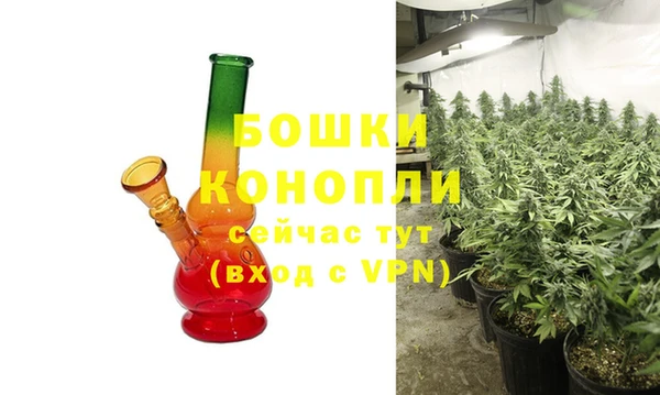 прущие грибы Тутаев